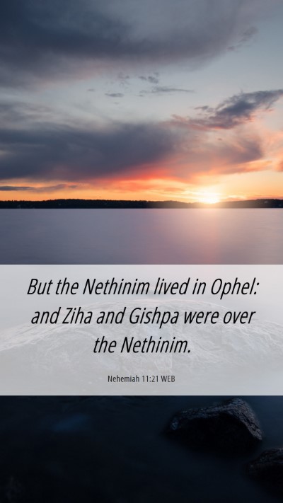 Picture 06 - Nehemiah 11:21 WEB Mobile Phone Wallpaper - But the Nethinim lived in Ophel: and Ziha and - Mobile Bible Verse Wallpaper