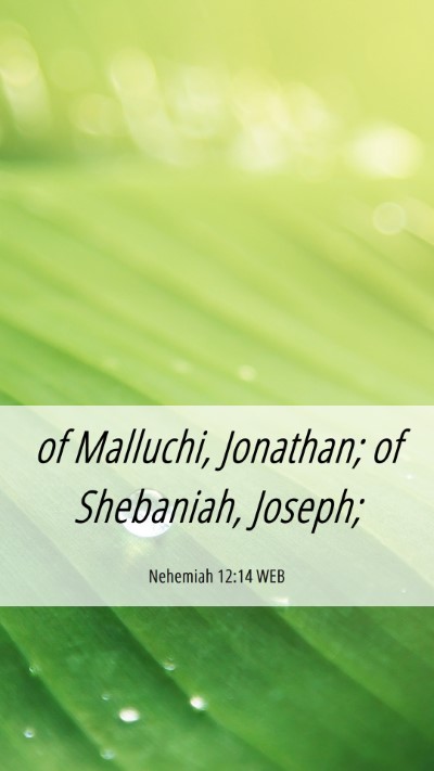 Picture 06 - Nehemiah 12:14 WEB Mobile Phone Wallpaper - of Malluchi, Jonathan; of Shebaniah, - Mobile Bible Verse Wallpaper