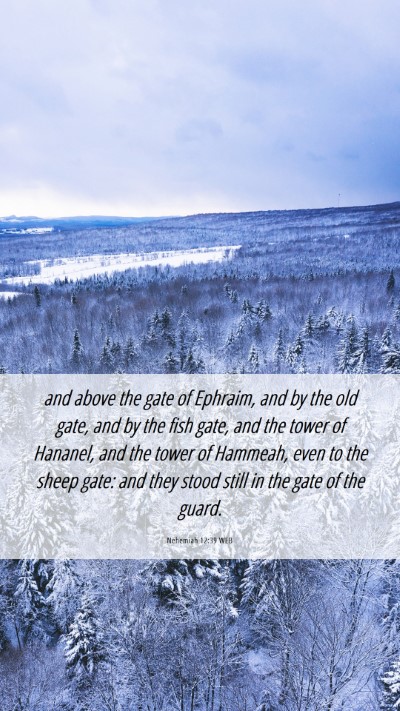 Picture 06 - Nehemiah 12:39 WEB Mobile Phone Wallpaper - and above the gate of Ephraim, and by the old - Mobile Bible Verse Wallpaper