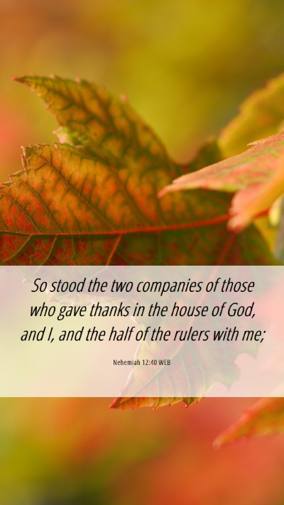 Picture 06 - Nehemiah 12:40 WEB Mobile Phone Wallpaper - So stood the two companies of those who gave - Mobile Bible Verse Wallpaper