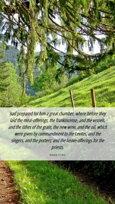 Picture 06 - Nehemiah 13:5 WEB Mobile Phone Wallpaper - had prepared for him a great chamber, where - Mobile Bible Verse Wallpaper
