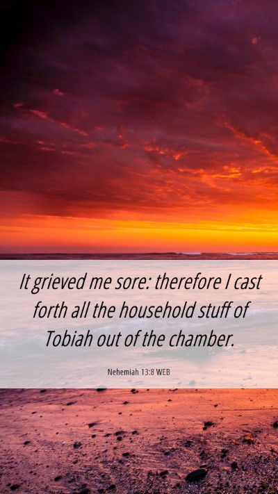 Picture 06 - Nehemiah 13:8 WEB Mobile Phone Wallpaper - It grieved me sore: therefore I cast forth all - Mobile Bible Verse Wallpaper