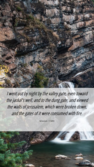 Picture 06 - Nehemiah 2:13 WEB Mobile Phone Wallpaper - I went out by night by the valley gate, even - Mobile Bible Verse Wallpaper