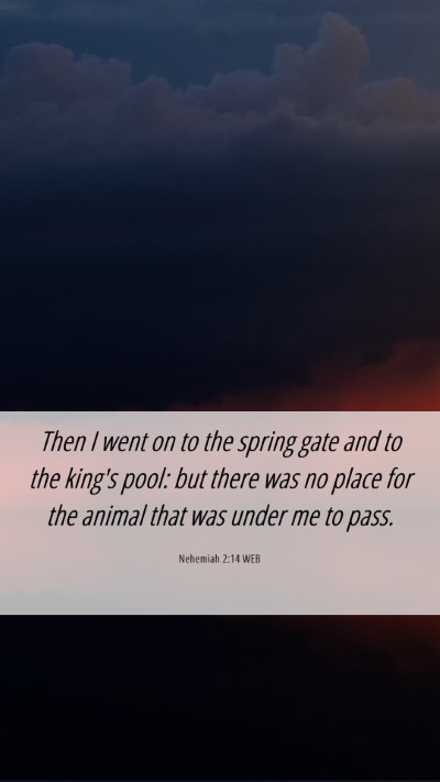 Picture 06 - Nehemiah 2:14 WEB Mobile Phone Wallpaper - Then I went on to the spring gate and to the - Mobile Bible Verse Wallpaper