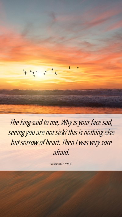 Picture 06 - Nehemiah 2:2 WEB Mobile Phone Wallpaper - The king said to me, Why is your face sad, seeing - Mobile Bible Verse Wallpaper