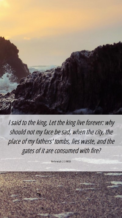 Picture 06 - Nehemiah 2:3 WEB Mobile Phone Wallpaper - I said to the king, Let the king live forever: - Mobile Bible Verse Wallpaper