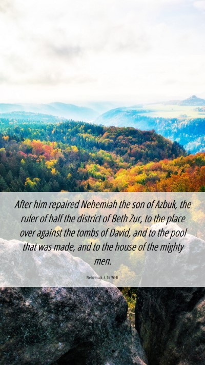 Picture 06 - Nehemiah 3:16 WEB Mobile Phone Wallpaper - After him repaired Nehemiah the son of Azbuk, the - Mobile Bible Verse Wallpaper