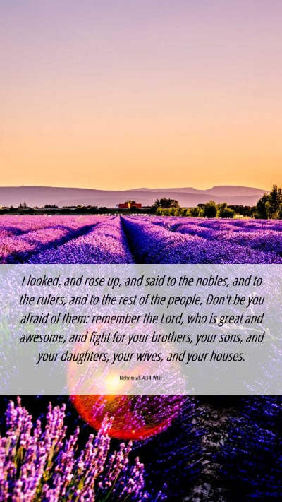 Picture 06 - Nehemiah 4:14 WEB Mobile Phone Wallpaper - I looked, and rose up, and said to the nobles, - Mobile Bible Verse Wallpaper