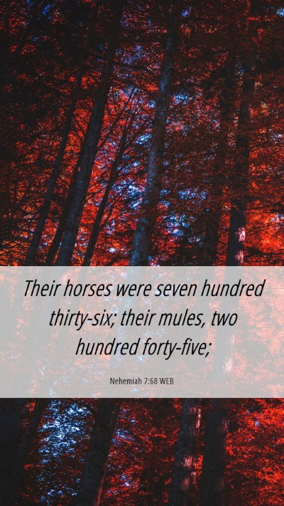 Picture 06 - Nehemiah 7:68 WEB Mobile Phone Wallpaper - Their horses were seven hundred thirty-six; their - Mobile Bible Verse Wallpaper