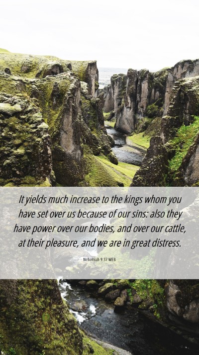 Picture 06 - Nehemiah 9:37 WEB Mobile Phone Wallpaper - It yields much increase to the kings whom you - Mobile Bible Verse Wallpaper