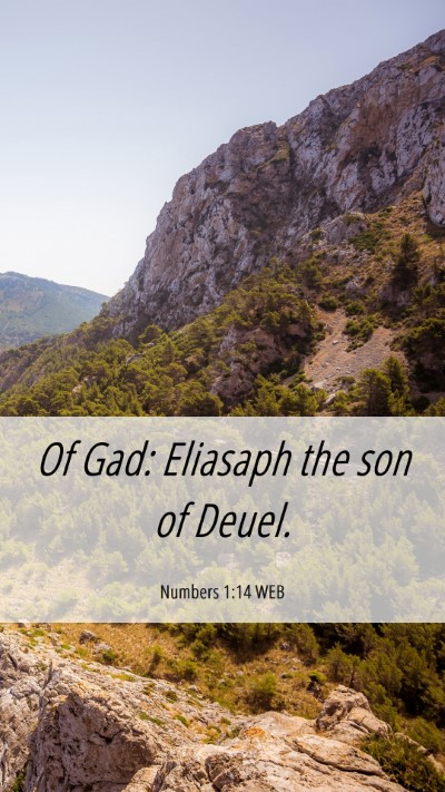 Picture 06 - Numbers 1:14 WEB Mobile Phone Wallpaper - Of Gad: Eliasaph the son of - Mobile Bible Verse Wallpaper