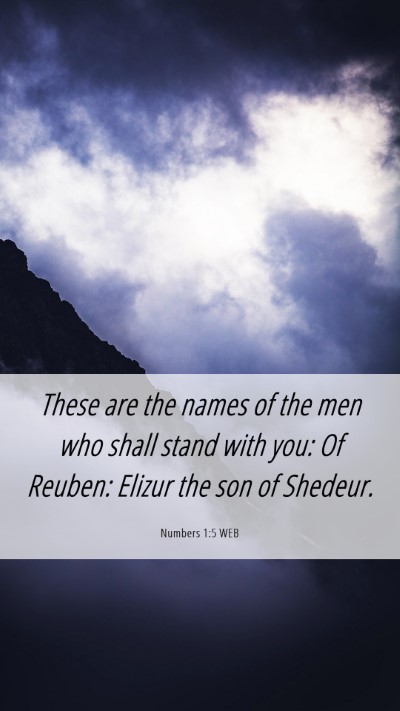 Picture 06 - Numbers 1:5 WEB Mobile Phone Wallpaper - These are the names of the men who shall stand - Mobile Bible Verse Wallpaper