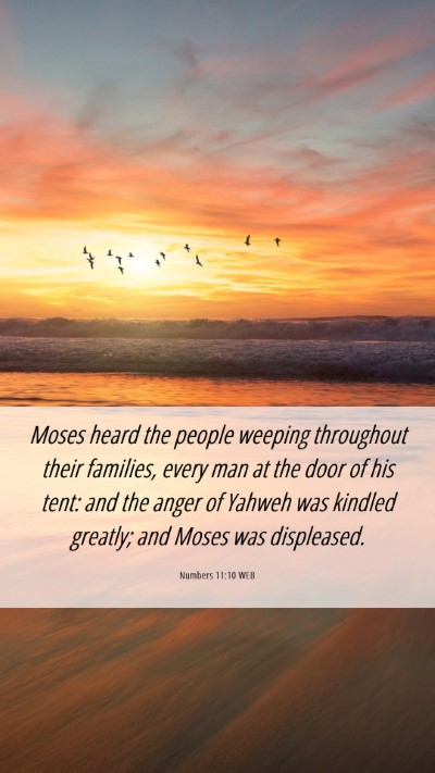 Picture 06 - Numbers 11:10 WEB Mobile Phone Wallpaper - Moses heard the people weeping throughout their - Mobile Bible Verse Wallpaper