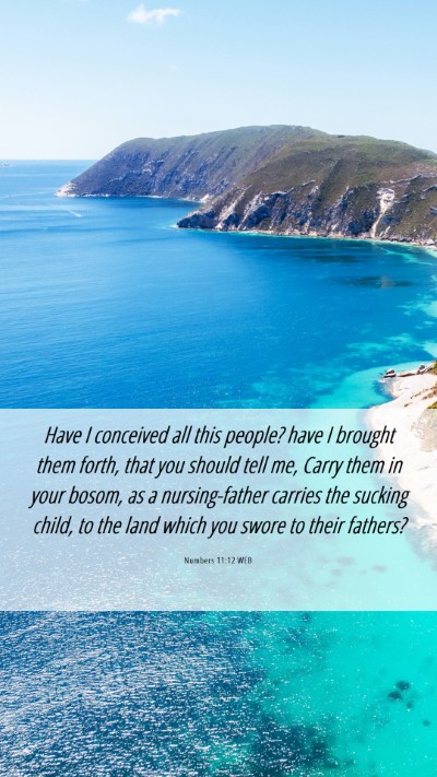 Picture 06 - Numbers 11:12 WEB Mobile Phone Wallpaper - Have I conceived all this people? have I brought - Mobile Bible Verse Wallpaper