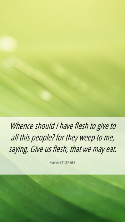 Picture 06 - Numbers 11:13 WEB Mobile Phone Wallpaper - Whence should I have flesh to give to all this - Mobile Bible Verse Wallpaper