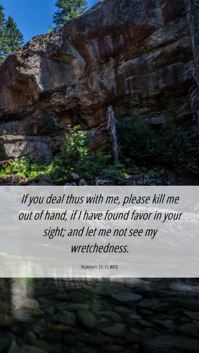 Picture 06 - Numbers 11:15 WEB Mobile Phone Wallpaper - If you deal thus with me, please kill me out of - Mobile Bible Verse Wallpaper