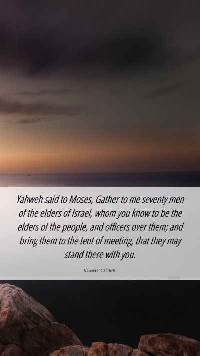 Picture 06 - Numbers 11:16 WEB Mobile Phone Wallpaper - Yahweh said to Moses, Gather to me seventy men of - Mobile Bible Verse Wallpaper