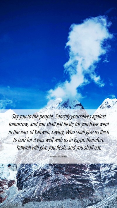 Picture 06 - Numbers 11:18 WEB Mobile Phone Wallpaper - Say you to the people, Sanctify yourselves - Mobile Bible Verse Wallpaper
