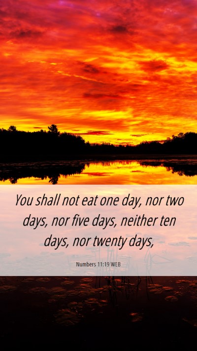 Picture 06 - Numbers 11:19 WEB Mobile Phone Wallpaper - You shall not eat one day, nor two days, nor five - Mobile Bible Verse Wallpaper
