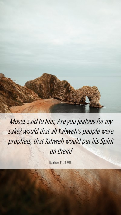Picture 06 - Numbers 11:29 WEB Mobile Phone Wallpaper - Moses said to him, Are you jealous for my sake? - Mobile Bible Verse Wallpaper