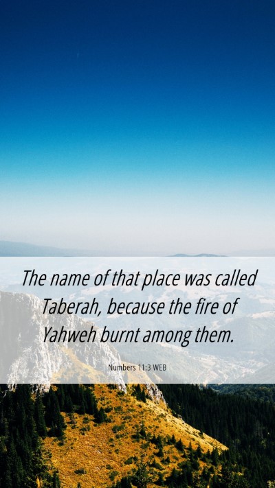 Picture 06 - Numbers 11:3 WEB Mobile Phone Wallpaper - The name of that place was called Taberah, - Mobile Bible Verse Wallpaper
