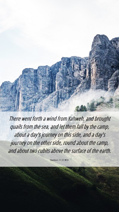 Picture 06 - Numbers 11:31 WEB Mobile Phone Wallpaper - There went forth a wind from Yahweh, and brought - Mobile Bible Verse Wallpaper