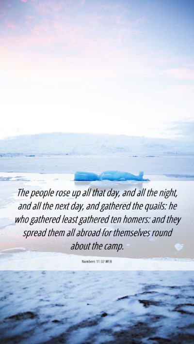 Picture 06 - Numbers 11:32 WEB Mobile Phone Wallpaper - The people rose up all that day, and all the - Mobile Bible Verse Wallpaper