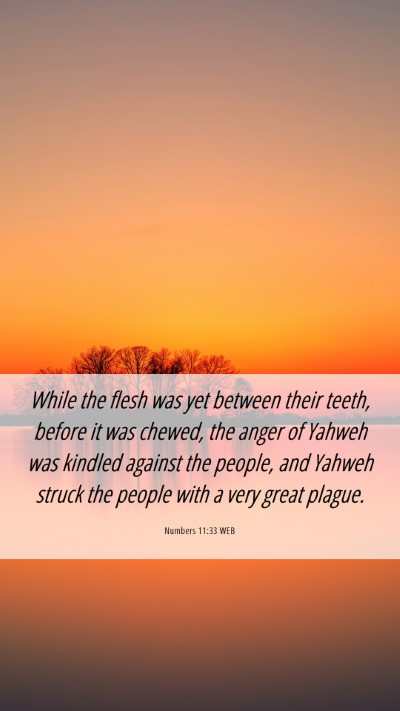Picture 06 - Numbers 11:33 WEB Mobile Phone Wallpaper - While the flesh was yet between their teeth, - Mobile Bible Verse Wallpaper