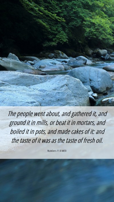 Picture 06 - Numbers 11:8 WEB Mobile Phone Wallpaper - The people went about, and gathered it, and - Mobile Bible Verse Wallpaper