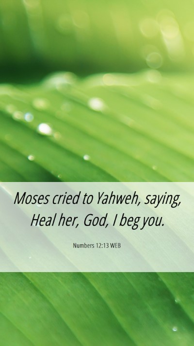 Picture 06 - Numbers 12:13 WEB Mobile Phone Wallpaper - Moses cried to Yahweh, saying, Heal her, God, I - Mobile Bible Verse Wallpaper