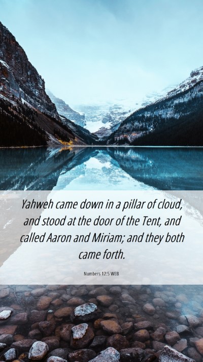 Picture 06 - Numbers 12:5 WEB Mobile Phone Wallpaper - Yahweh came down in a pillar of cloud, and stood - Mobile Bible Verse Wallpaper