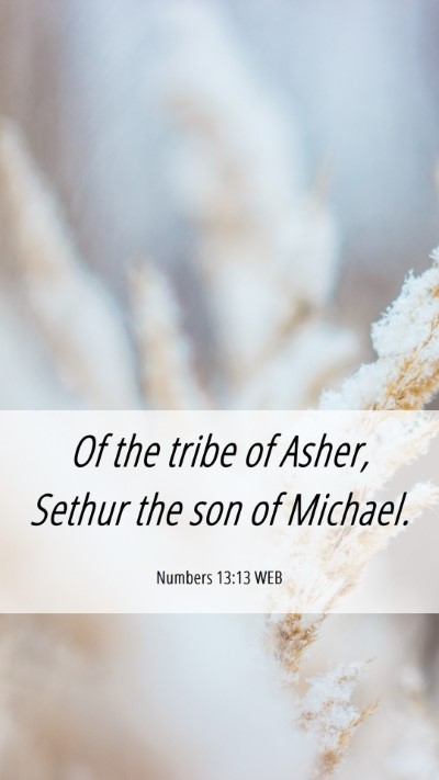 Picture 06 - Numbers 13:13 WEB Mobile Phone Wallpaper - Of the tribe of Asher, Sethur the son of - Mobile Bible Verse Wallpaper