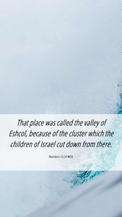 Picture 06 - Numbers 13:24 WEB Mobile Phone Wallpaper - That place was called the valley of Eshcol, - Mobile Bible Verse Wallpaper