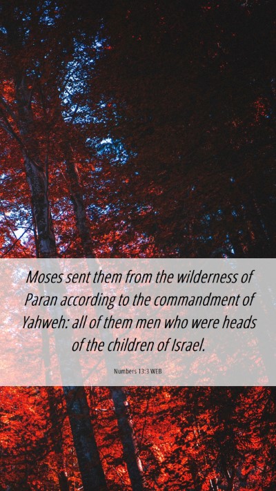 Picture 06 - Numbers 13:3 WEB Mobile Phone Wallpaper - Moses sent them from the wilderness of Paran - Mobile Bible Verse Wallpaper