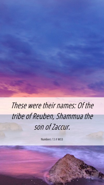 Picture 06 - Numbers 13:4 WEB Mobile Phone Wallpaper - These were their names: Of the tribe of Reuben, - Mobile Bible Verse Wallpaper