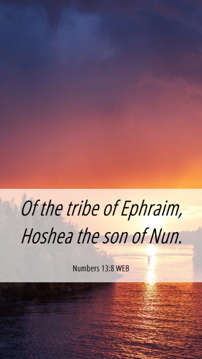 Picture 06 - Numbers 13:8 WEB Mobile Phone Wallpaper - Of the tribe of Ephraim, Hoshea the son of - Mobile Bible Verse Wallpaper