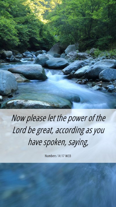 Picture 06 - Numbers 14:17 WEB Mobile Phone Wallpaper - Now please let the power of the Lord be great, - Mobile Bible Verse Wallpaper