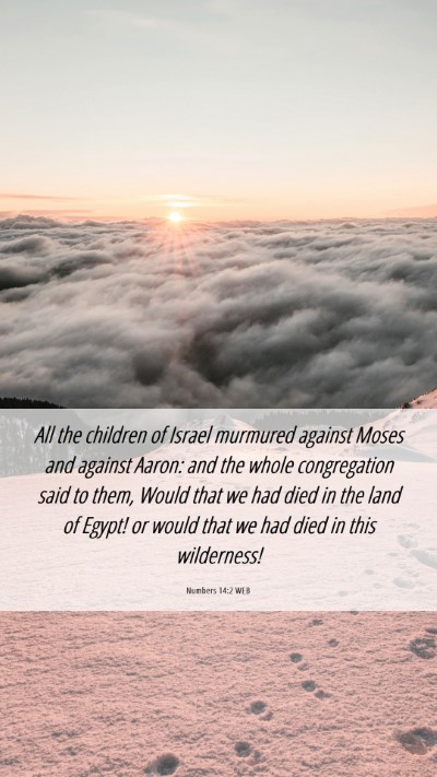 Picture 06 - Numbers 14:2 WEB Mobile Phone Wallpaper - All the children of Israel murmured against Moses - Mobile Bible Verse Wallpaper