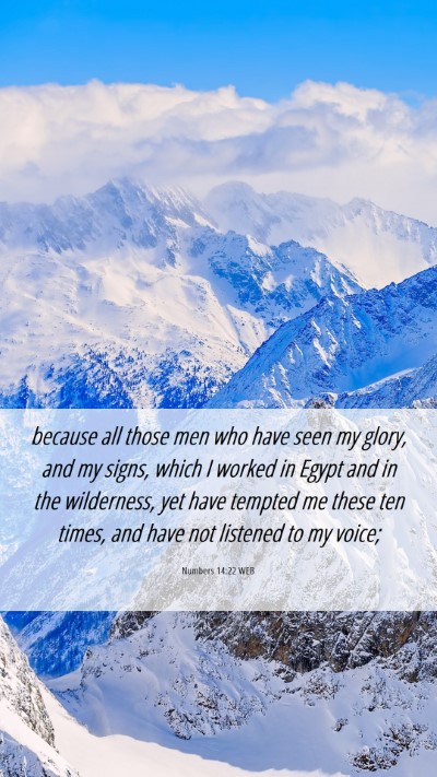 Picture 06 - Numbers 14:22 WEB Mobile Phone Wallpaper - because all those men who have seen my glory, and - Mobile Bible Verse Wallpaper