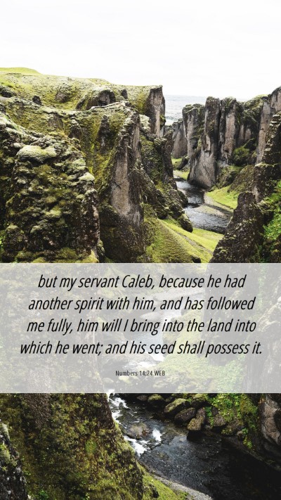 Picture 06 - Numbers 14:24 WEB Mobile Phone Wallpaper - but my servant Caleb, because he had another - Mobile Bible Verse Wallpaper