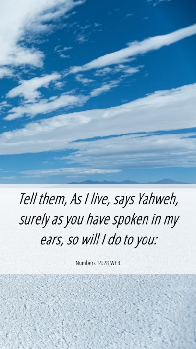 Picture 06 - Numbers 14:28 WEB Mobile Phone Wallpaper - Tell them, As I live, says Yahweh, surely as you - Mobile Bible Verse Wallpaper
