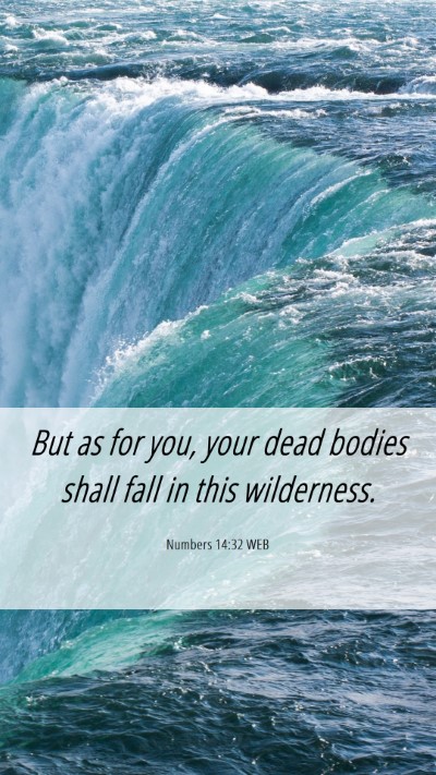 Picture 06 - Numbers 14:32 WEB Mobile Phone Wallpaper - But as for you, your dead bodies shall fall in - Mobile Bible Verse Wallpaper