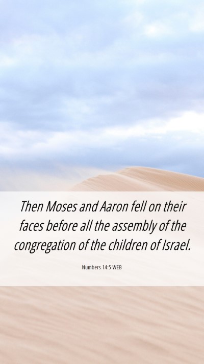 Picture 06 - Numbers 14:5 WEB Mobile Phone Wallpaper - Then Moses and Aaron fell on their faces before - Mobile Bible Verse Wallpaper