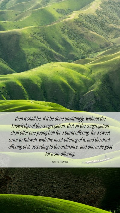 Picture 06 - Numbers 15:24 WEB Mobile Phone Wallpaper - then it shall be, if it be done unwittingly, - Mobile Bible Verse Wallpaper