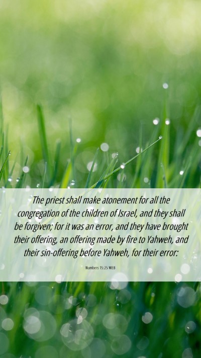 Picture 06 - Numbers 15:25 WEB Mobile Phone Wallpaper - The priest shall make atonement for all the - Mobile Bible Verse Wallpaper