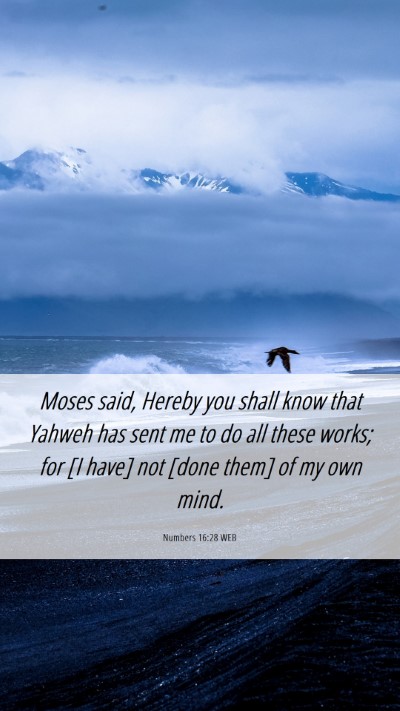 Picture 06 - Numbers 16:28 WEB Mobile Phone Wallpaper - Moses said, Hereby you shall know that Yahweh has - Mobile Bible Verse Wallpaper