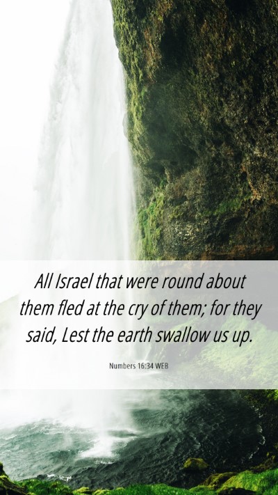 Picture 06 - Numbers 16:34 WEB Mobile Phone Wallpaper - All Israel that were round about them fled at the - Mobile Bible Verse Wallpaper