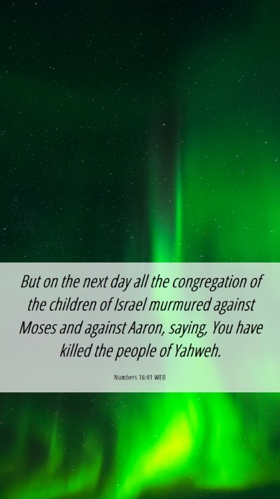 Picture 06 - Numbers 16:41 WEB Mobile Phone Wallpaper - But on the next day all the congregation of the - Mobile Bible Verse Wallpaper