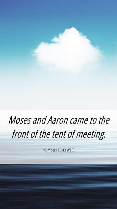 Picture 06 - Numbers 16:43 WEB Mobile Phone Wallpaper - Moses and Aaron came to the front of the tent of - Mobile Bible Verse Wallpaper