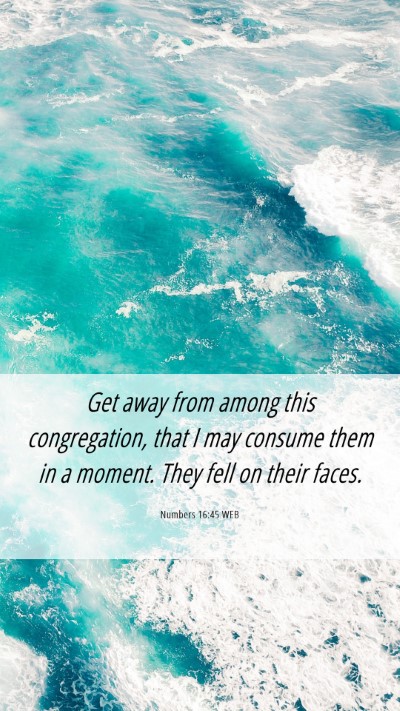 Picture 06 - Numbers 16:45 WEB Mobile Phone Wallpaper - Get away from among this congregation, that I may - Mobile Bible Verse Wallpaper